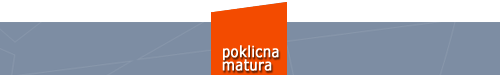 poklicnamatura zalozba